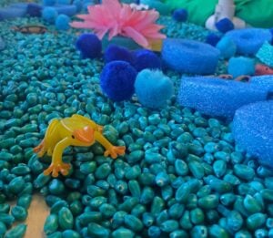 citrus heights sensory play area